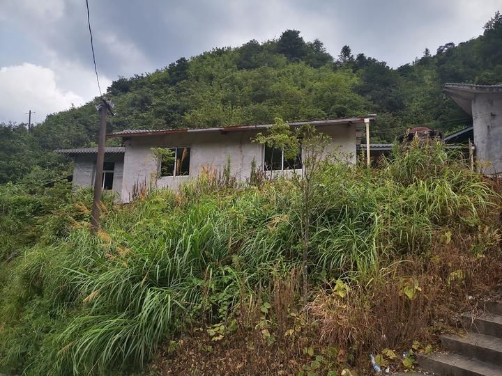 藏身|杀人放火连3岁孩子都不放过！22年前衢县灭门案嫌疑人藏身深山小庙终被抓获