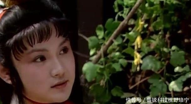 王夫人|宝玉对王夫人的一句称呼,揭开了史湘云在家中的真实身份