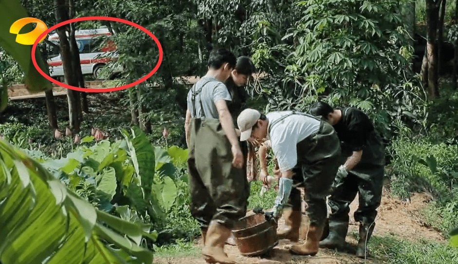  池塘|何炅带着张子枫去挖藕，池塘边出现的场景引热议：节目组好贴心