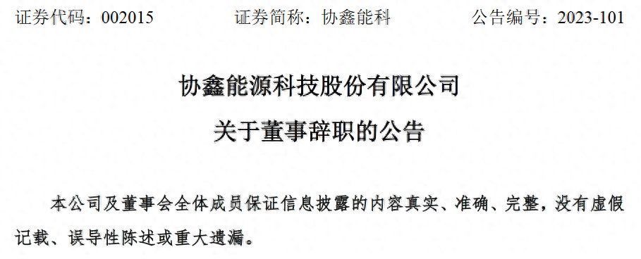 协鑫能源科技股份有限公司董事杨敏辞职
