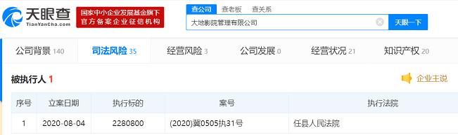 标的|大地影院管理有限公司成被执行人 执行标的超228万