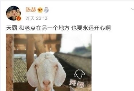 成员|《向往》黄磊让学生推厕所墙铺剧院地板,陈赫送来新成员动霸