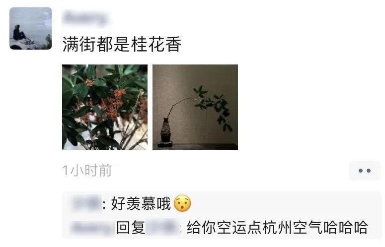 真的|我们北方人一点也不羡慕南方的桂花，真的！