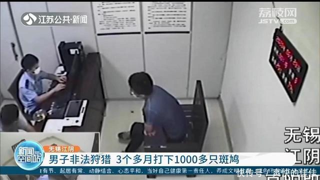  刑事|男子3个多月非法狩猎1000多只斑鸠 民警：20只就构成刑事处罚