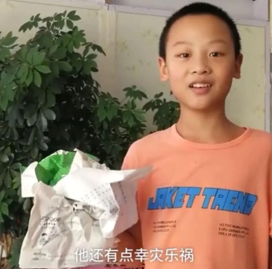 妈妈|妈妈不在家，狗子和小主人竟然合谋干出这种事