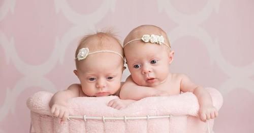  环境|双胞胎：同样的父母，同样的环境，为什么性格会不一样