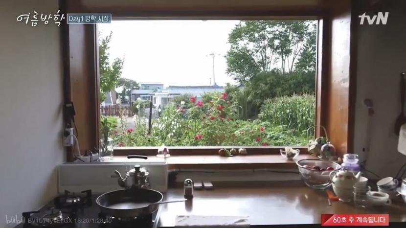  节目|韩综治愈系再出新作，姐弟一起过《暑假》