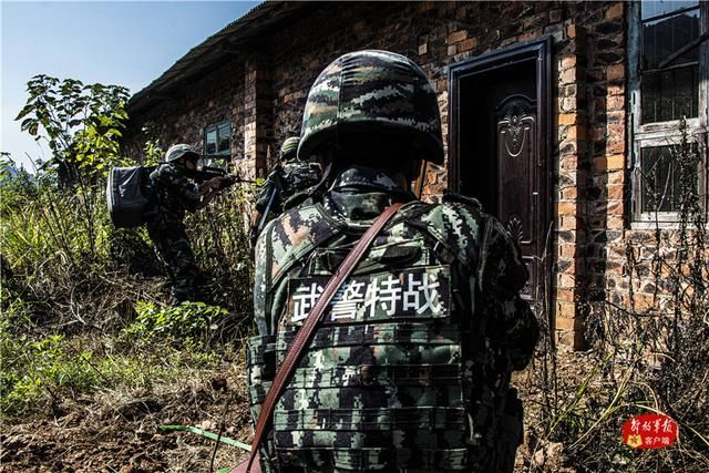 捕歼|密林深处，武警特战队员山林地捕歼战斗打响