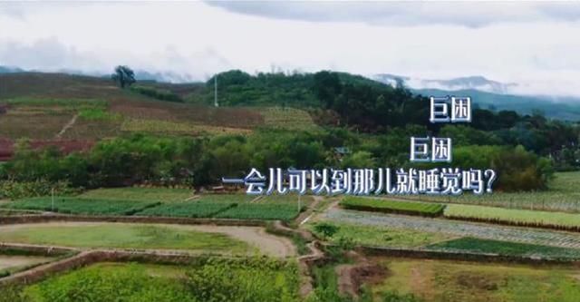  岳云鹏|岳云鹏综艺又翻车？不仅记不住嘉宾名字，还对女嘉宾行为不妥