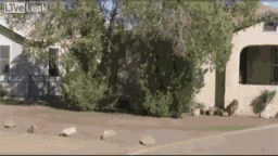  反杀|抢劫失败被反杀集锦，都是来搞笑的吧