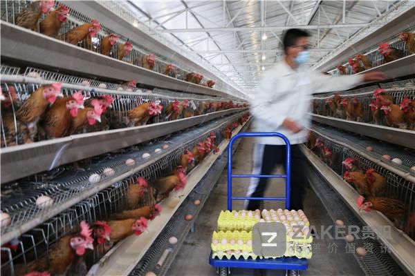  日报|贵阳日报传媒集团蹲点调研行之清镇：提质增效决胜全面小康（上）