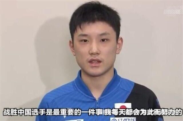 再次|张本智和再次表态为日本夺金!父亲工作公布 也为日本国家队服务