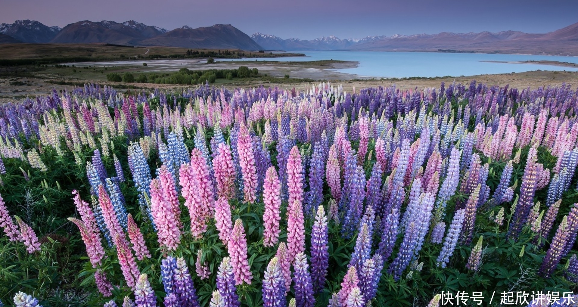 欢喜|在近期,千帆过尽,初心不改,四大星座与旧爱一如初见,欢喜复合