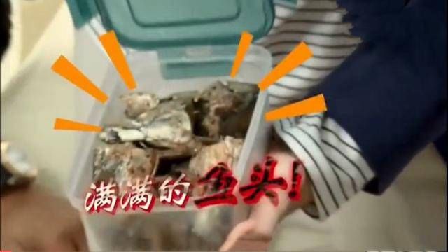  宋茜|鹿晗火锅涮葡萄、宋茜吃鱼眼、郑元畅吃手纸，明星们的菜单好奇怪