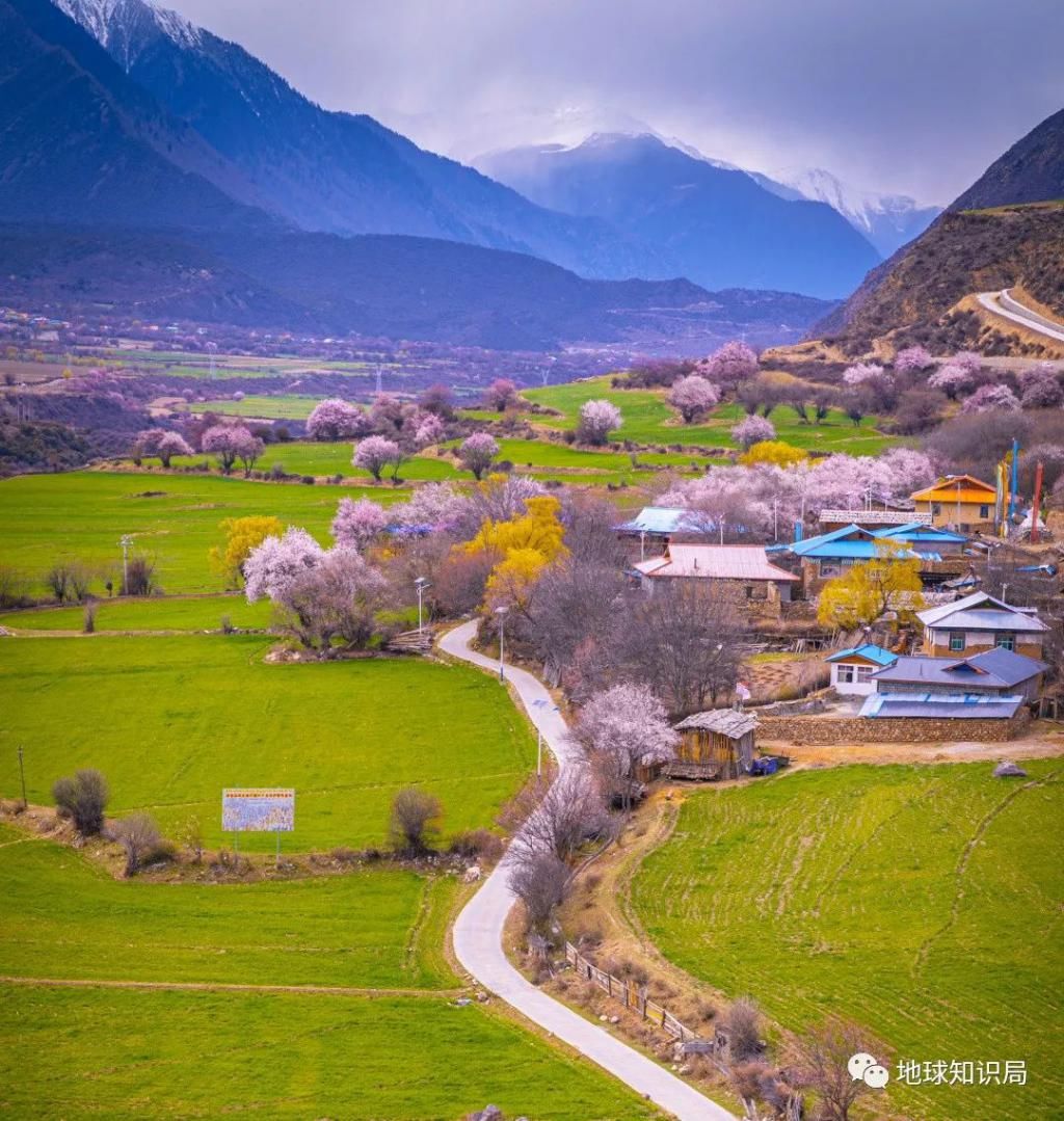  大事|最近，西藏有件大事