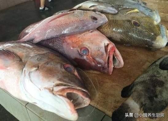 放置很久|买鱼时,遇到这五种鱼转身就走,浪费钱还不健康,内行人从来不买