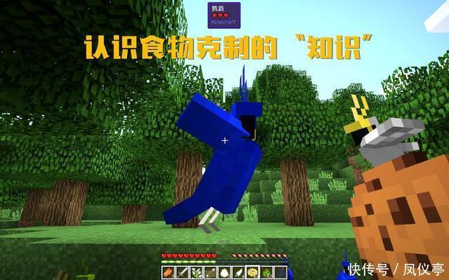 用法|我的世界:这些食物的正确用法,你真的知道?第五种还能造房子!