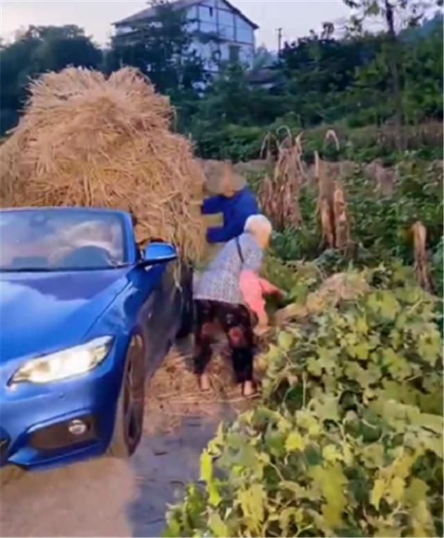 宝马|宝马敞篷车被爷爷奶奶用来装稻草，车主一脸无奈，但他们笑意十足