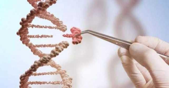 诺贝尔化学奖|2020年诺贝尔化学奖：基因编辑