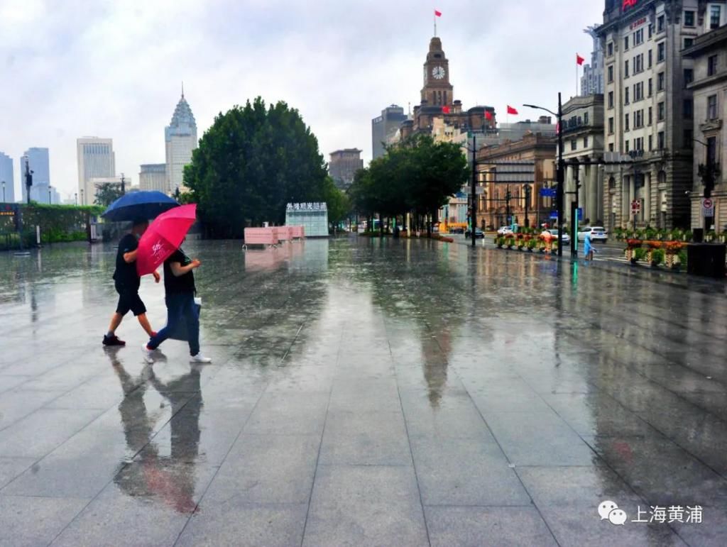  即景|图说黄浦｜“暴力梅”又来，雨中即景感受城市“温度”