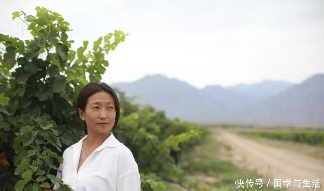 贺兰山|贺兰山下,酿酒人生