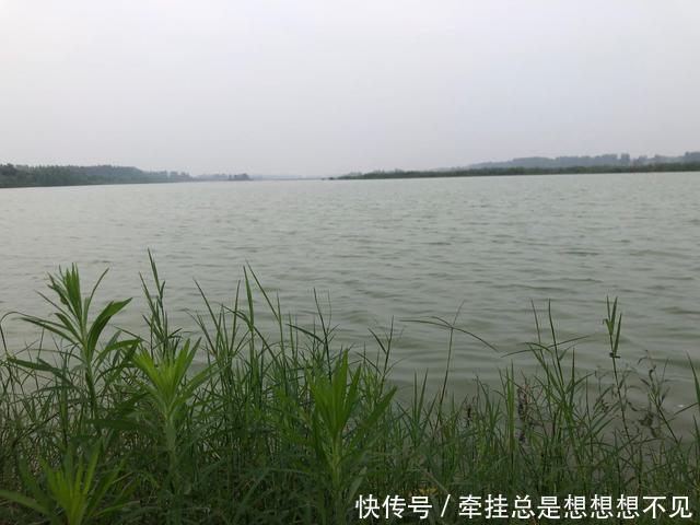 河南省|河南省民权县任庄国家湿地公园快来看,这里的千亩荷花开了