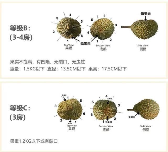 吃到|你吃到的是真的猫山王吗？