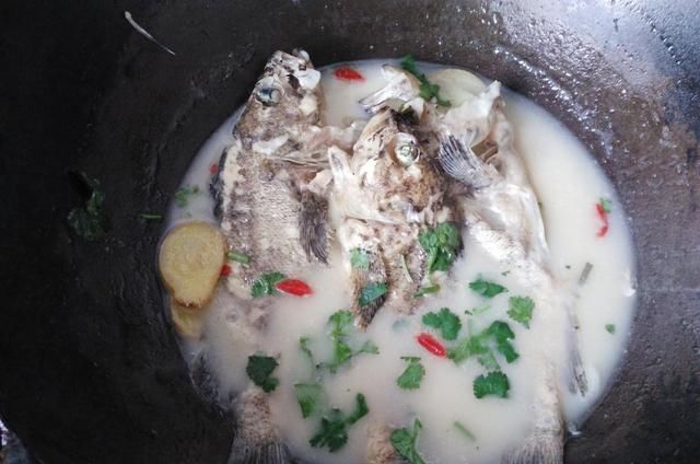  保证|炖鱼汤的时候，牢记这3个小窍门，保证鱼汤鲜美，一点都不腥
