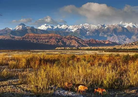  喀什古城|被“极挑”男人帮们安利了一座城，看了风景还无形中还“追了星”