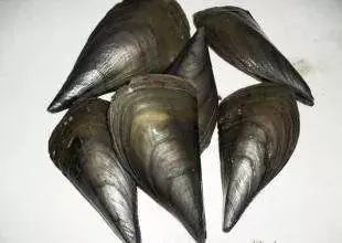 捕捞|“组团”非法捕捞 承担赔偿责任一个也不能少!