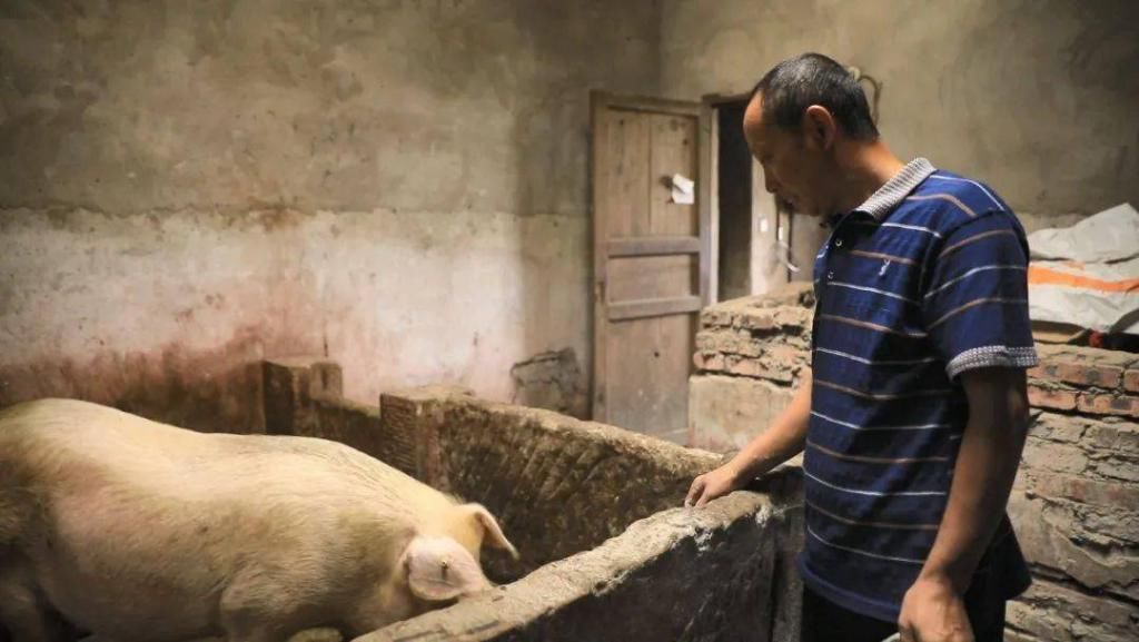  村里|程伯旗：幸福生活如同芝麻开花节节高