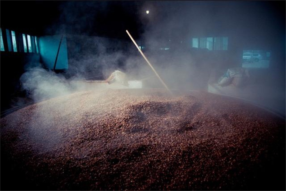 浓香型|浓香型白酒的生产工艺可分为哪些?