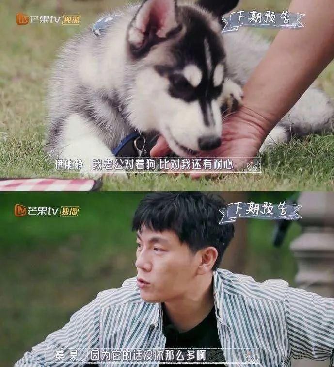  怪不得|怪不得他能看上伊能静，敢情喜欢打脸呗！