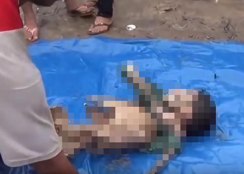  当成|洱海惊现外来物种，携带6000多条寄生虫，却被国人当成餐桌美味