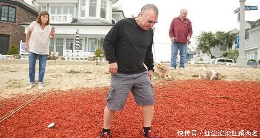 东西|德国人疑惑这东西我们宁可饿着都不吃,中国人却吃到开始养殖