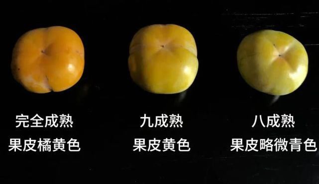 苹果|自带“冰糖心”的云南脆柿,爽似苹果,香甜不带涩