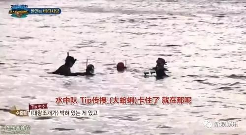  资格去采|每次都是艺人背锅，实惨！