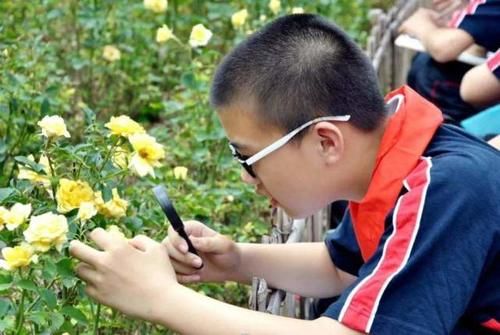  机会|这3种初中生跟早恋“毫无关系”，异性接触都很少，根本没机会