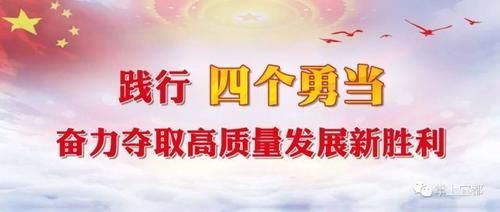 机动车|不文明行为和现象已被拍下,你“中招”了吗?