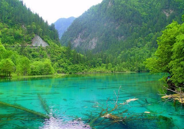  九寨沟|四川旅游：人间仙境九寨沟（图）