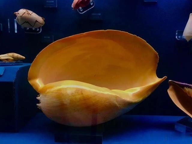 新股|新三板精选层新股首日表现,证实了我很久以前的一个猜测