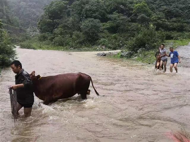  邮储|邮储银行丹江口市支行扶贫工作队 汛期全力保障贫困户财产安全