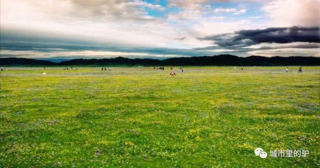  长白山|三伏暑热天，让我带你去这些只有25°的地方纳凉吧！