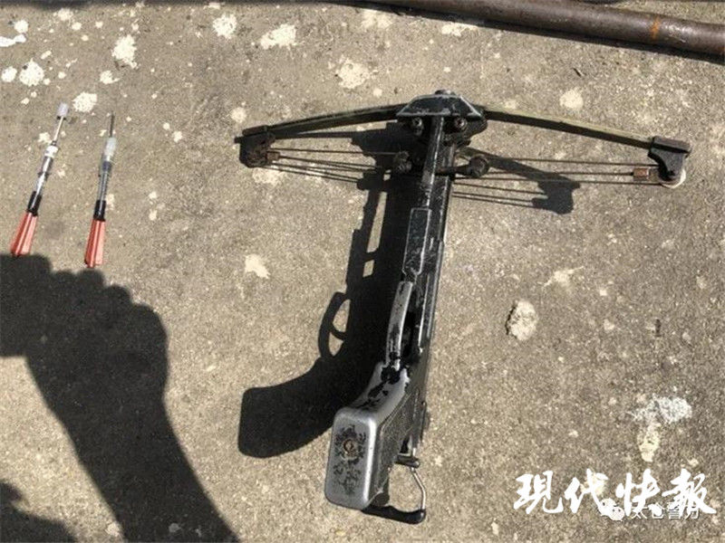 路上|路上捡到的一支飞镖，牵出毒杀犬只案