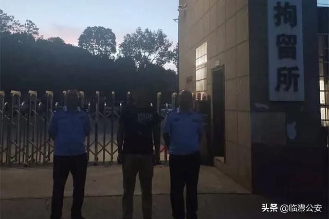  机动车|【新时代县域警务】一男子变造机动车号牌把自己变进拘留所
