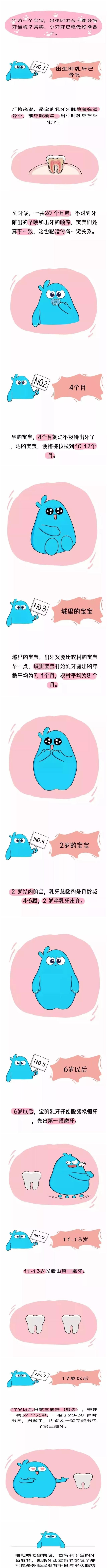  牙上颌|宝宝的牙齿是怎么发育的
