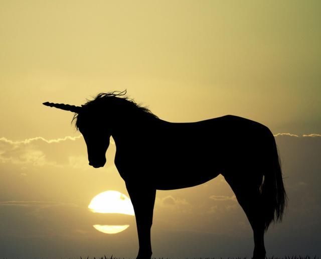  亏损|贝壳赴美IPO，独角兽掀起上市潮