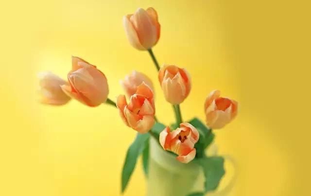  是累|有时候，真的是累了