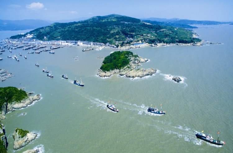  海鲜|休渔期结束啦！苍南这些海鲜美食统统安排起来