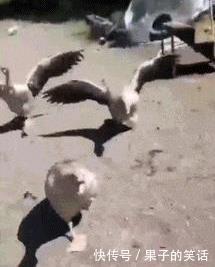 提醒|“我该怎样委婉又不失礼貌的提醒她一下呢?”啊哈哈哈哈好尴尬啊~